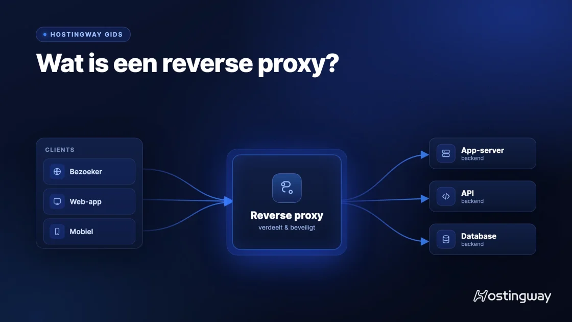 Wat is een reverse proxy: schema waarin clients via één reverse proxy bij de backend-servers komen